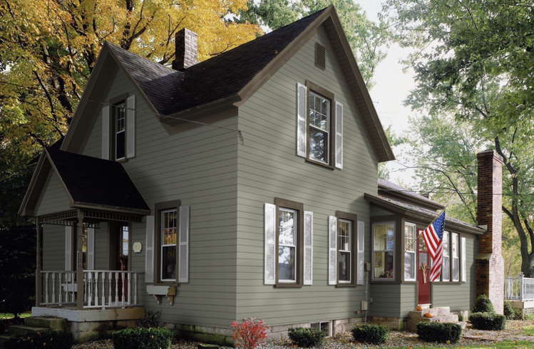 Sage Lap with Brown Trim