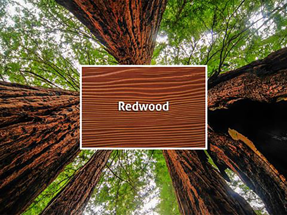 Paint Colors With Redwood Trim Paint Color Ideas