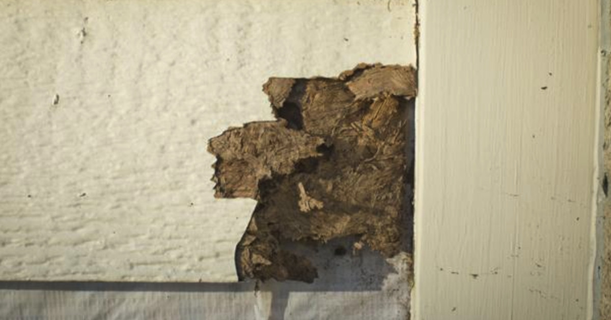 6 Common Problems With Masonite Siding Allura Usa 6 Common Problems With Masonite Siding Allura Usa