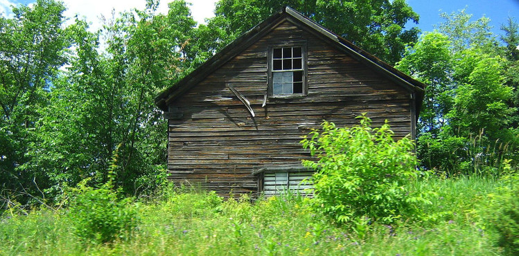 Image1