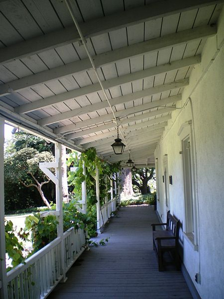 Image4